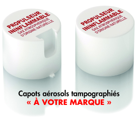 graisse au cuivre pour tres hautes temperatures 1100°C. anticorrosion. anti soudure permet le demontage. conforme aux specifications MIL A 907 ED. aerosol pate antigrippante cuivre, pate cuivre, graisse cuivre, graisse cuivre haute temperature, pate d'assemblage cuivre, graisse contact electrique, graisse cuivre pour freins, graisse cuivre contacts electriques. graisse haute temperature. graisse très haute temperature. fournisseurs graisses techniques. fournisseurs graisses industrielles. fournisseurs lubrifiants industriels. fabricants graisses techniques. fabricants graisses industrielles. fabricants lubrifiants industriels.  grasse cuivre cartouche. Graisse cuivre aerosol. Graisse haute temperature cartouche. Graisse haute temperature aerosol